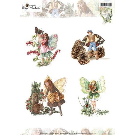 BILDER / PICTURES: Studio Light, Staf Wesenbeek, Willem Haenraets A4 Bogen, Elfe