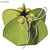 Dekoration Schachtel Gestalten / Boxe ... Template, fiori, 2 pezzi