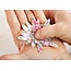 X-Cut / Docrafts Cutting dies Decorative, Delightful Gerbera