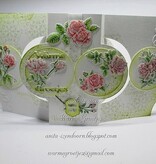 Wild Rose Studio`s A6 Transparent Stempel, Rosen