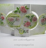 Wild Rose Studio`s tampons transparents A6, roses