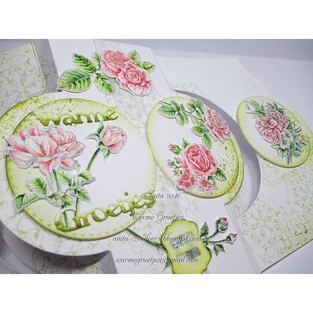 Wild Rose Studio`s tampons transparents A6, roses