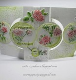 Wild Rose Studio`s A6 Transparent stamps, roses