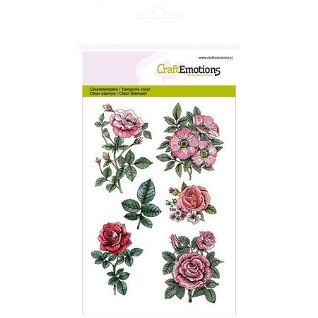 Wild Rose Studio`s A6 Transparent frimerker, roser