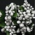 BLUMEN (MINI) UND ACCESOIRES Mini Blumchen, silber, Vintage Look