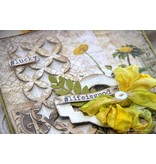 Sizzix Bokse og preging mal: alder Nations Framework