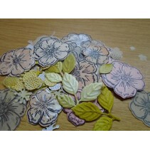 Les timbres en caoutchouc, Rose de Noël