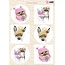 BILDER / PICTURES: Studio Light, Staf Wesenbeek, Willem Haenraets Bilderbogen with cute designs