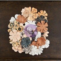 Cartographer, 36 flowers