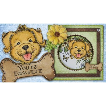 Heartfelt Creations aus USA NEW COLLECTION! Pampered Pooch Collection