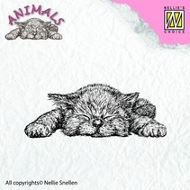 sello transparente: Gato