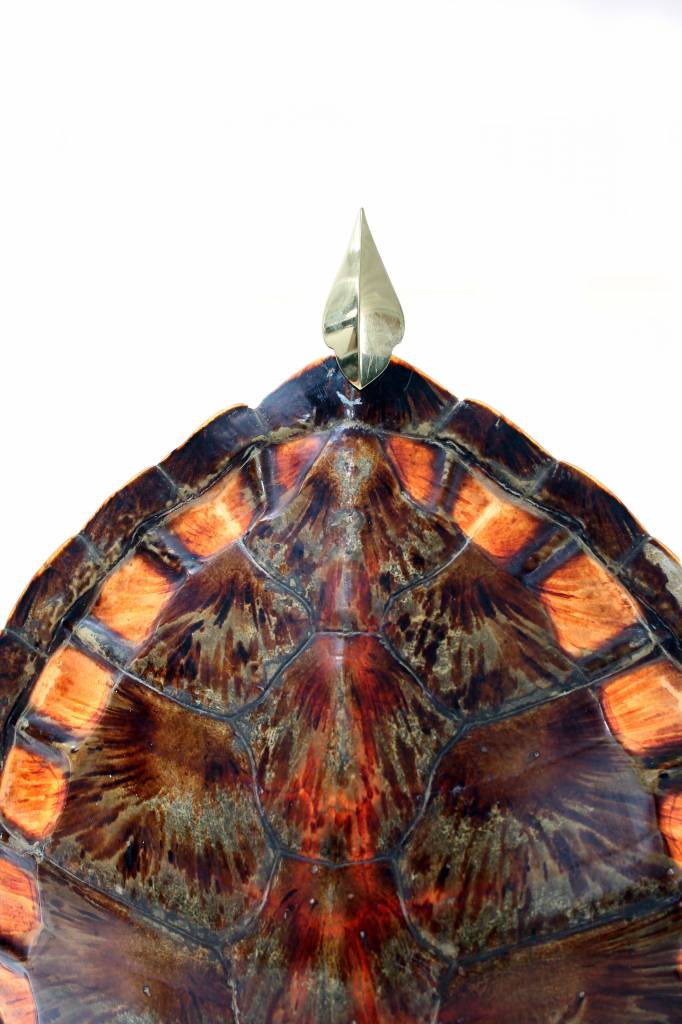 Koppel schildpad tafellampen