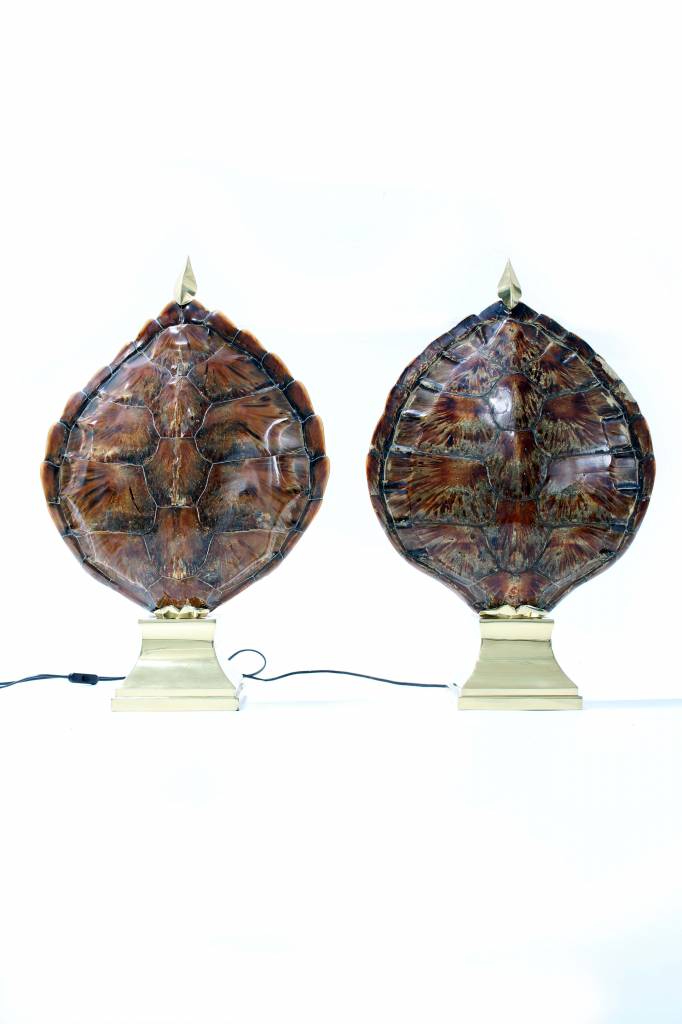 Couple turtle table lamps