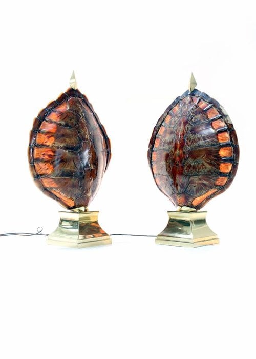 Pair of turtle lamps