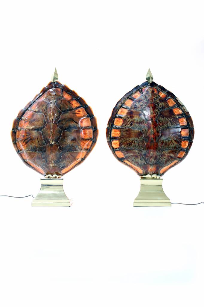 Couple turtle table lamps