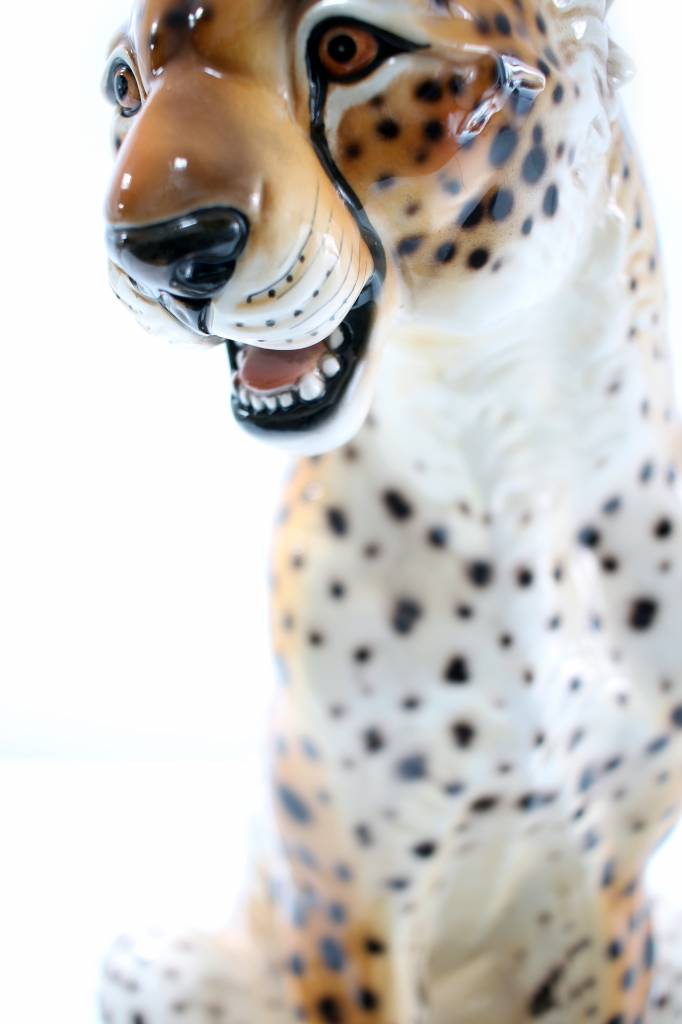 Ceramic leopard