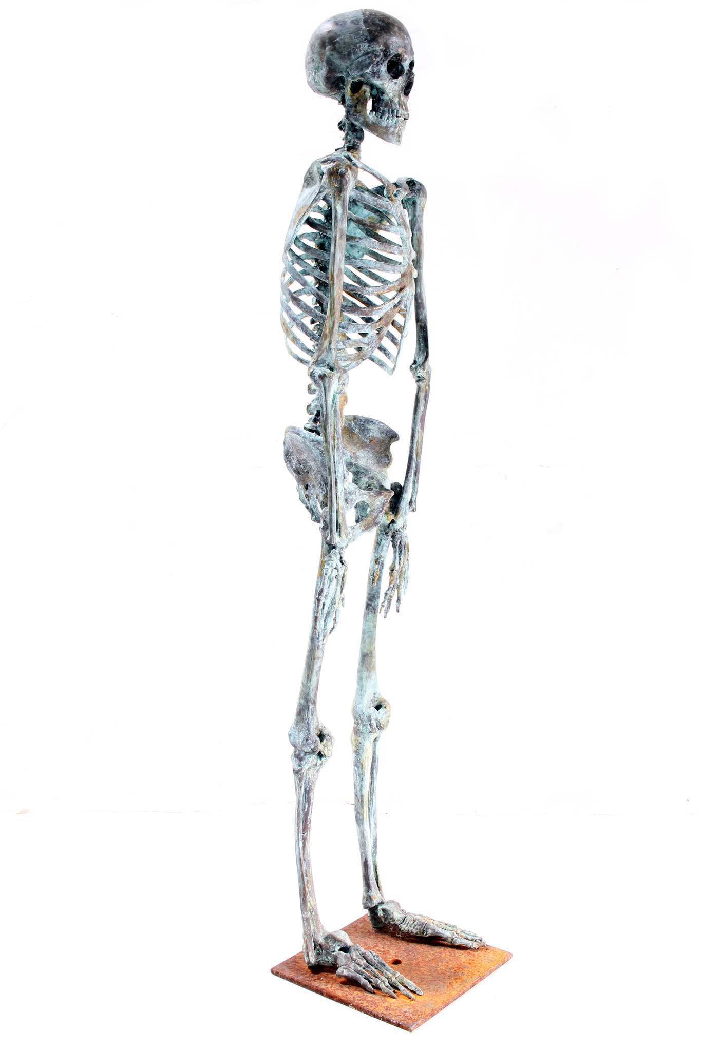 Onwijs Skelet brons - HET HUIS VAN WAUW PQ-79