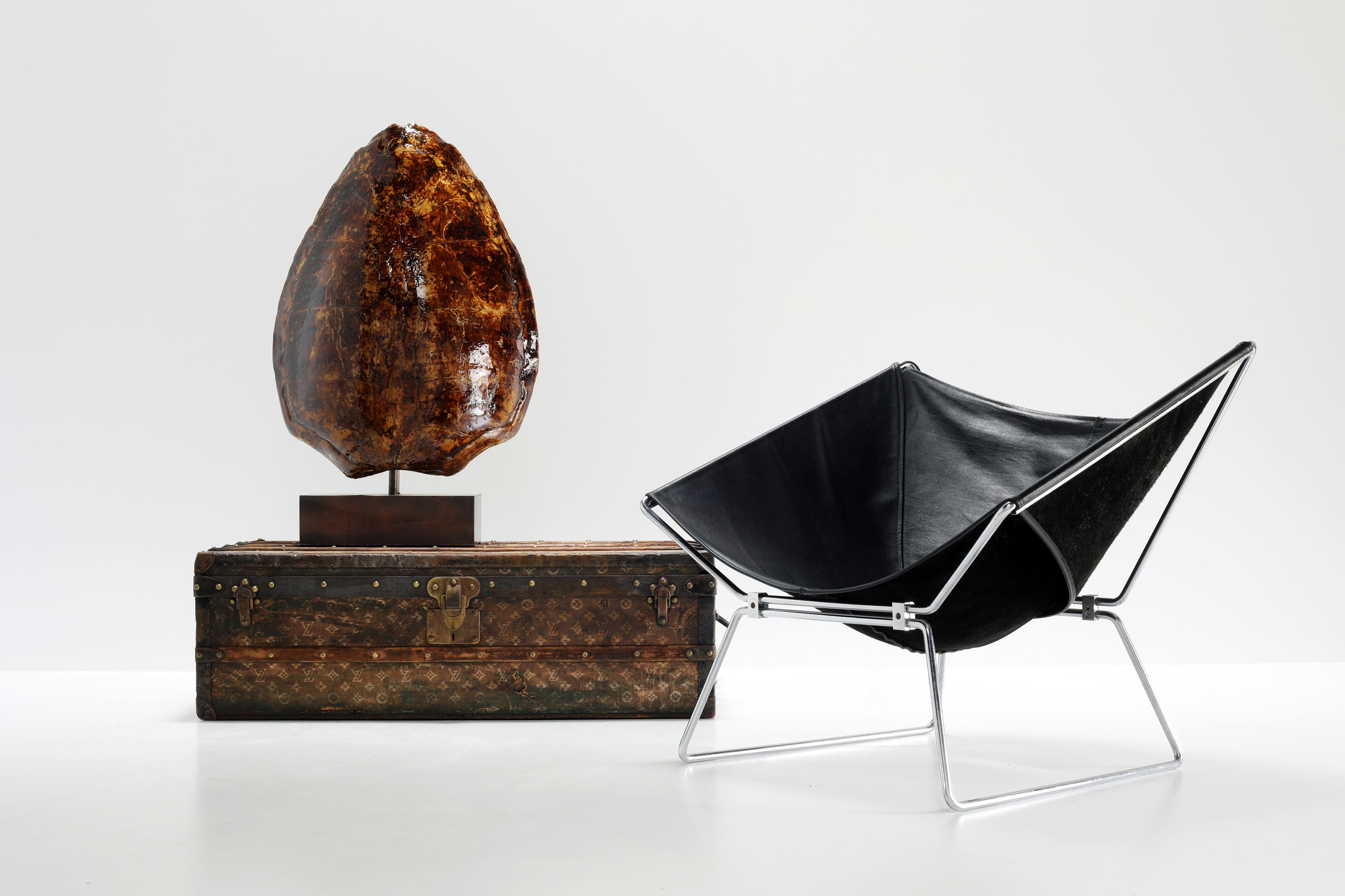 Lampes Belgo Chrom Tortoise, 1960