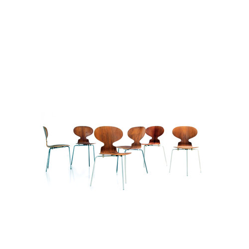 Chaises Fourmi d'Arne Jacobsen, années 1950