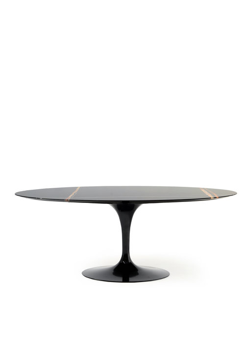 Table Knoll noire