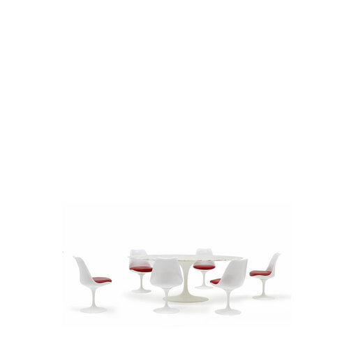 Knoll 50th Anniversary