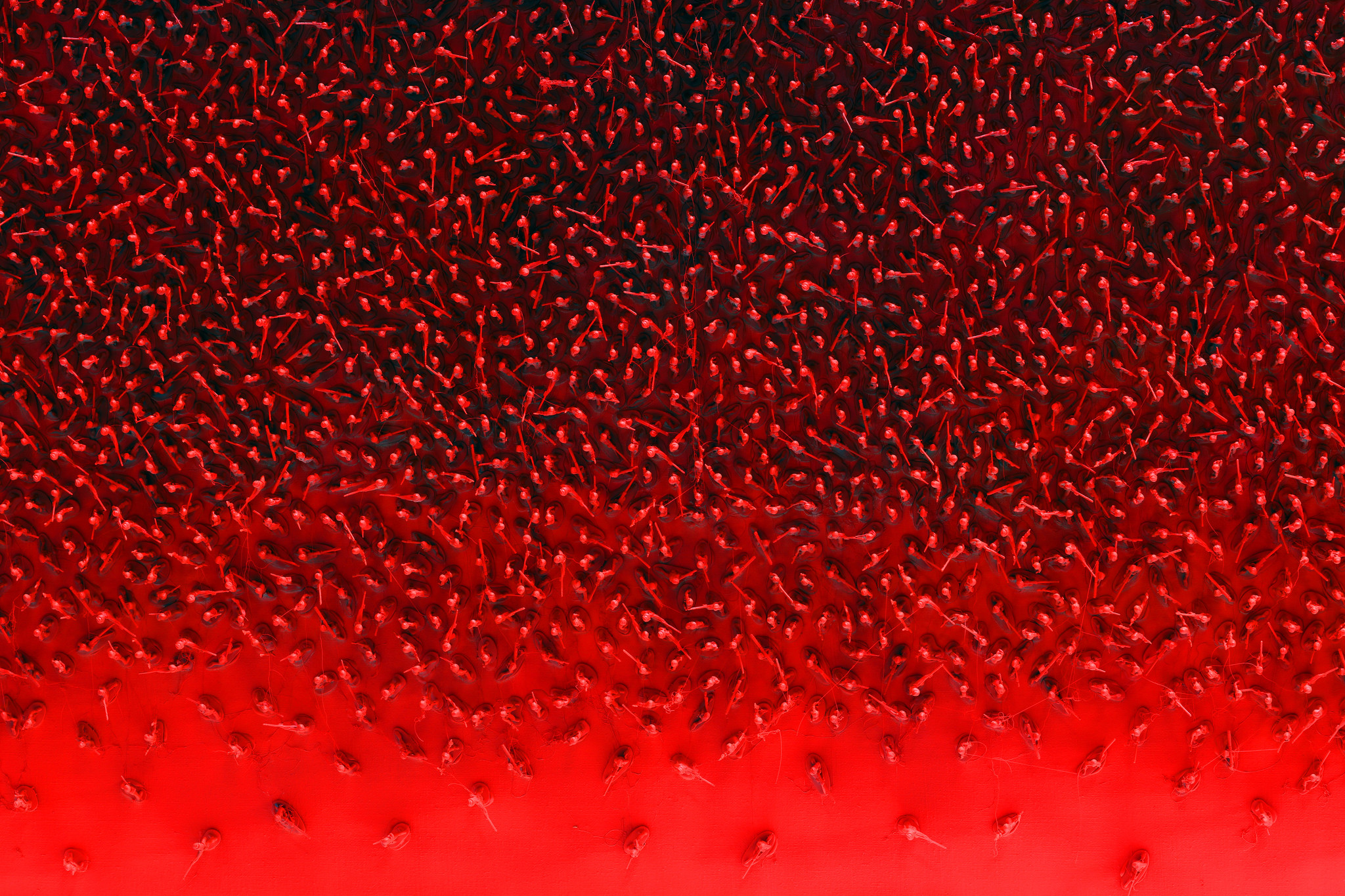 Richart "Red Fields"