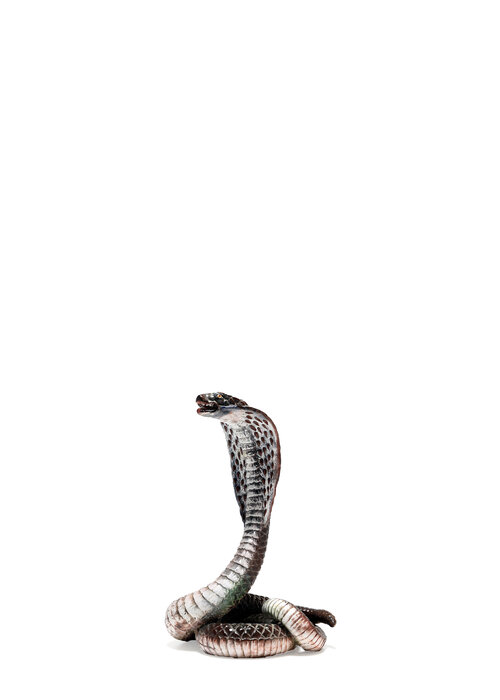 Italian ceramic Cobra snake