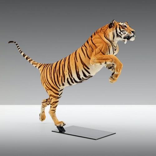 Mounted Tiger