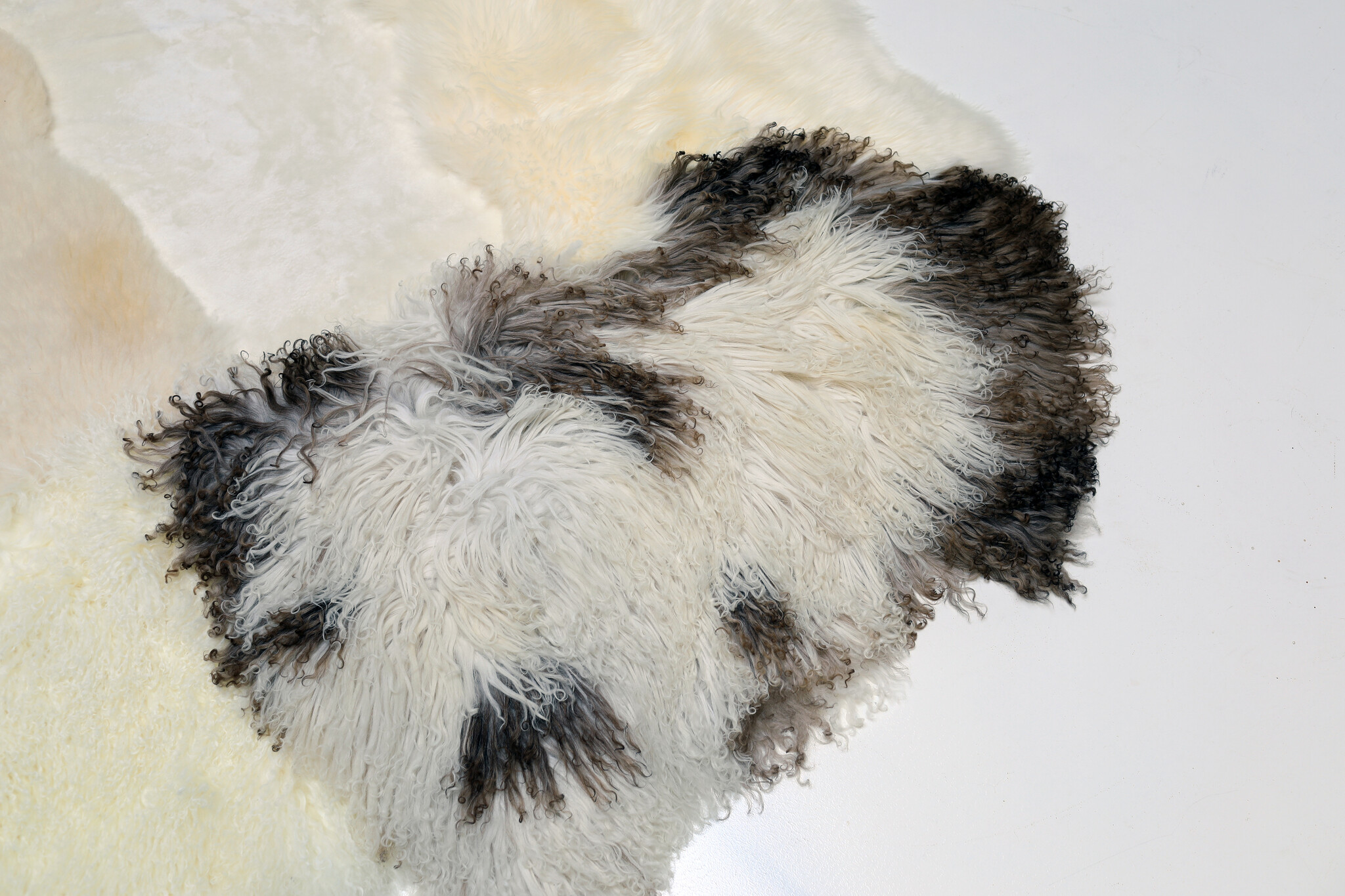 Tapis Carine Boxy "Feather Joy"