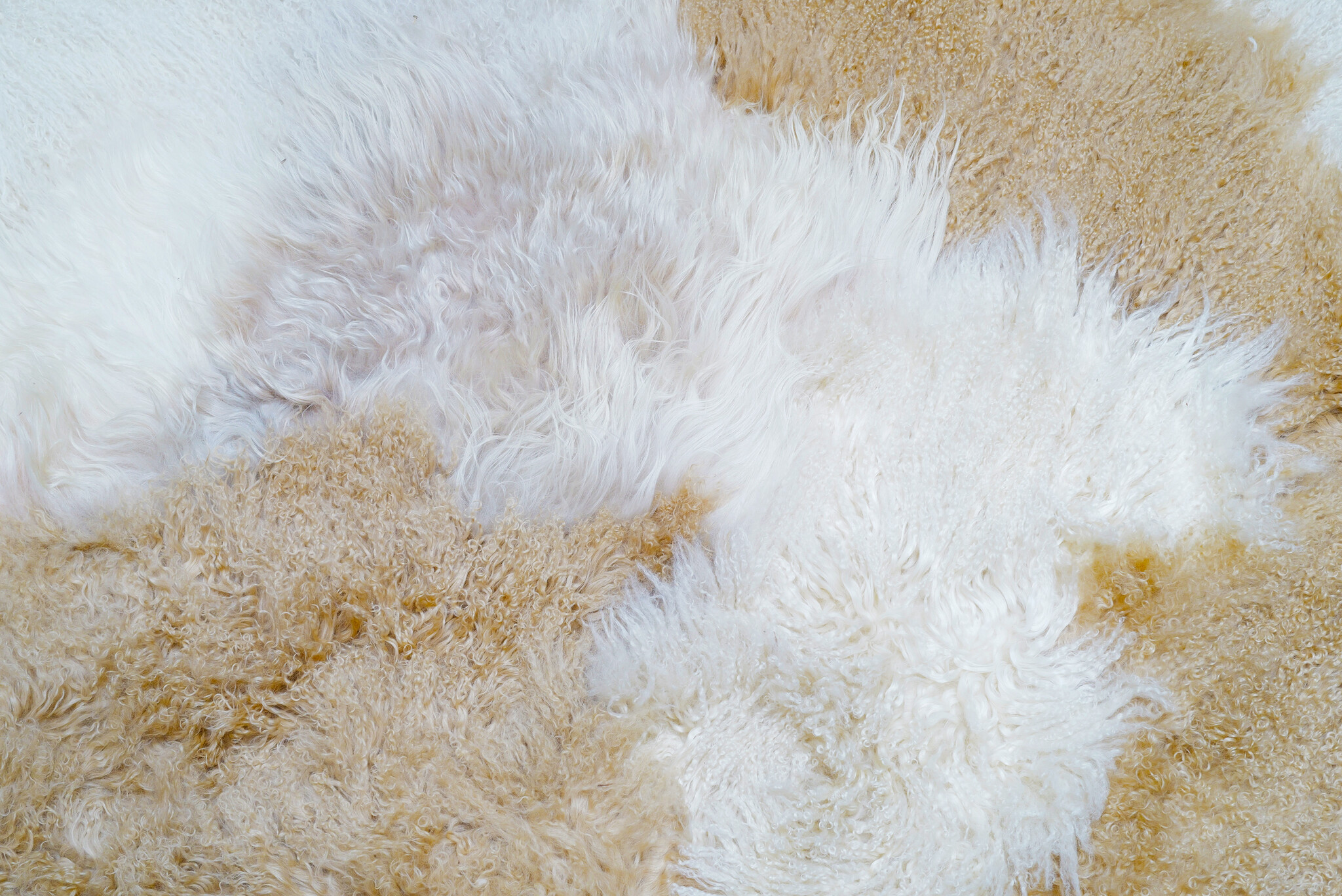 XL Carine Boxy carpet "Light Shine"