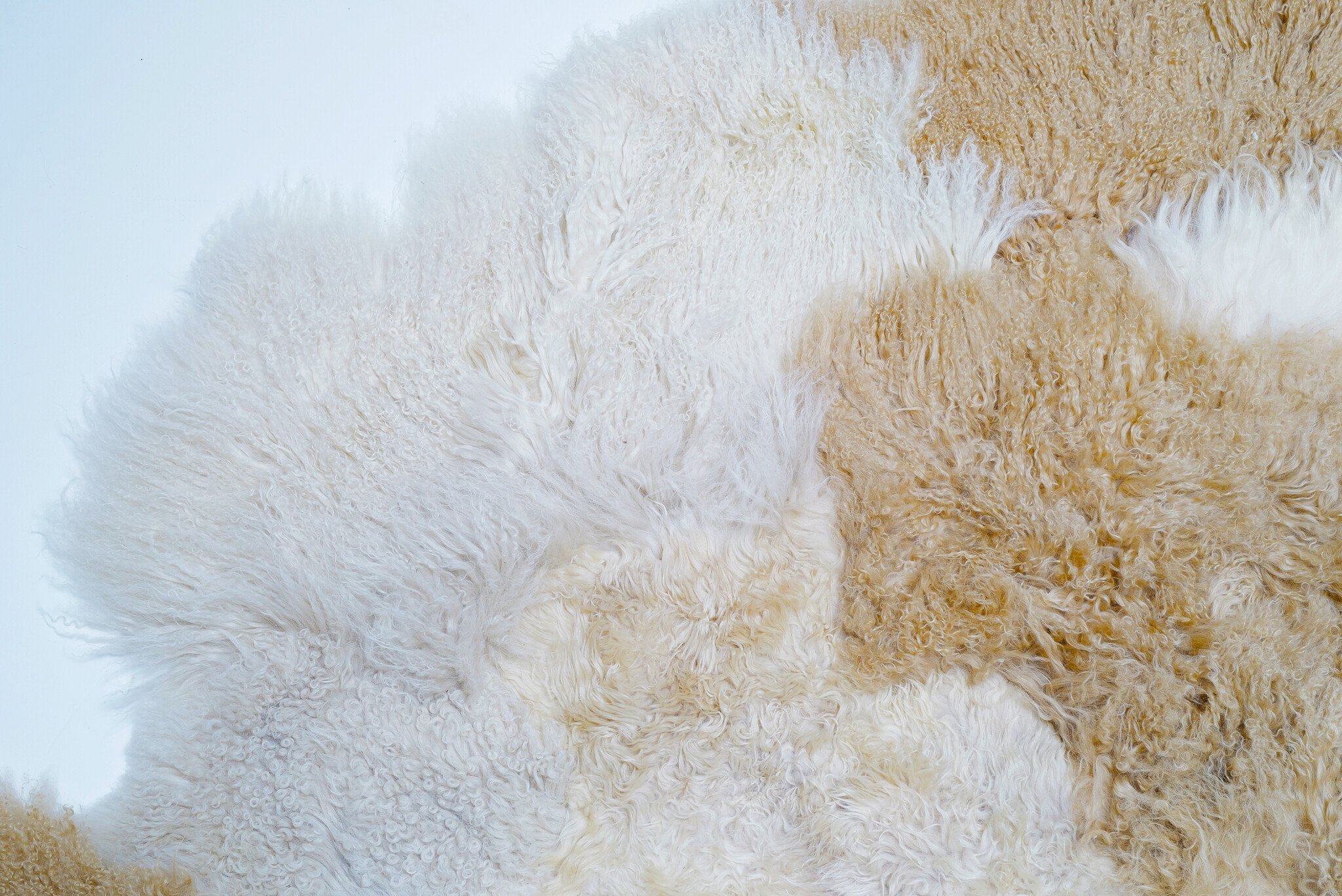 XL Carine Boxy carpet "Light Shine"