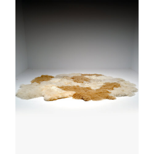 Carine Boxy carpet