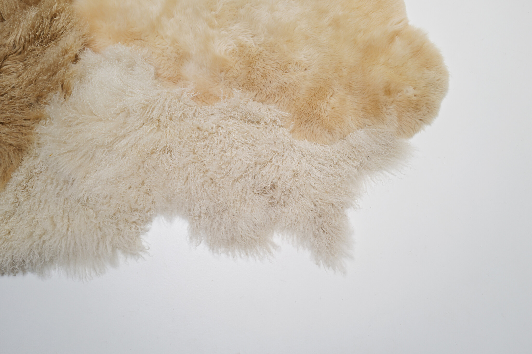 Carine Boxy “Shiny” XL Landscape carpet, 2025