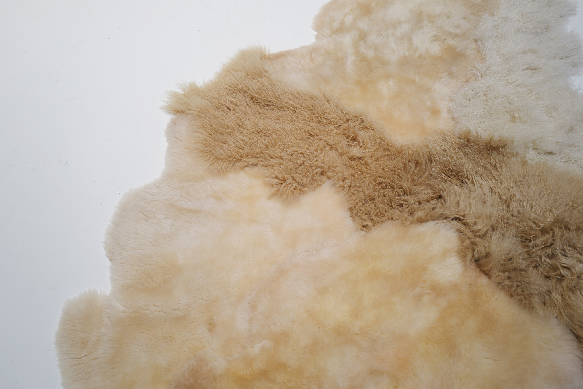 Carine Boxy “Shiny” XL Landscape carpet, 2025