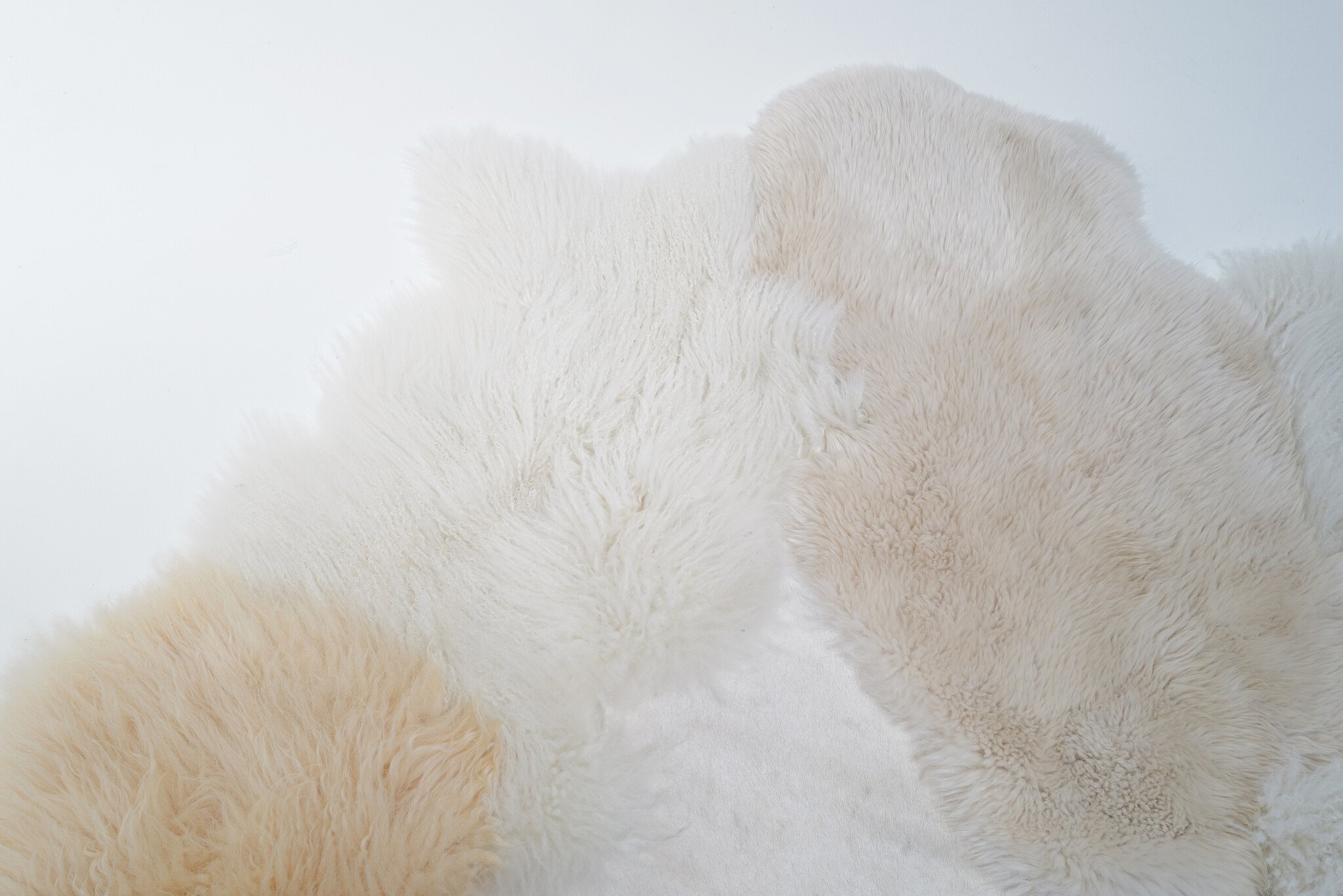 Carine Boxy “Evening Mood” XL Landscape tapijt, 2025