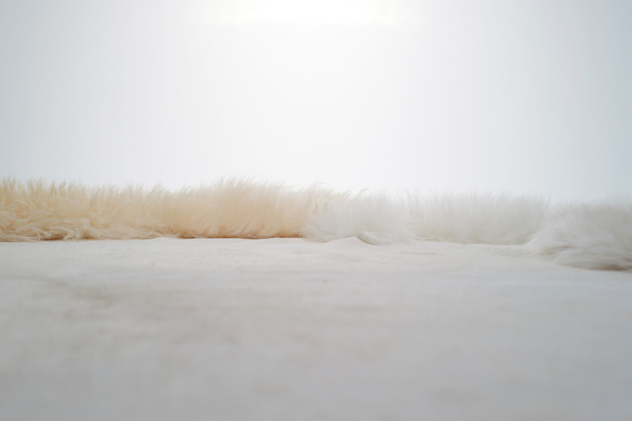 Carine Boxy “Evening Mood” XL Landscape tapijt, 2025