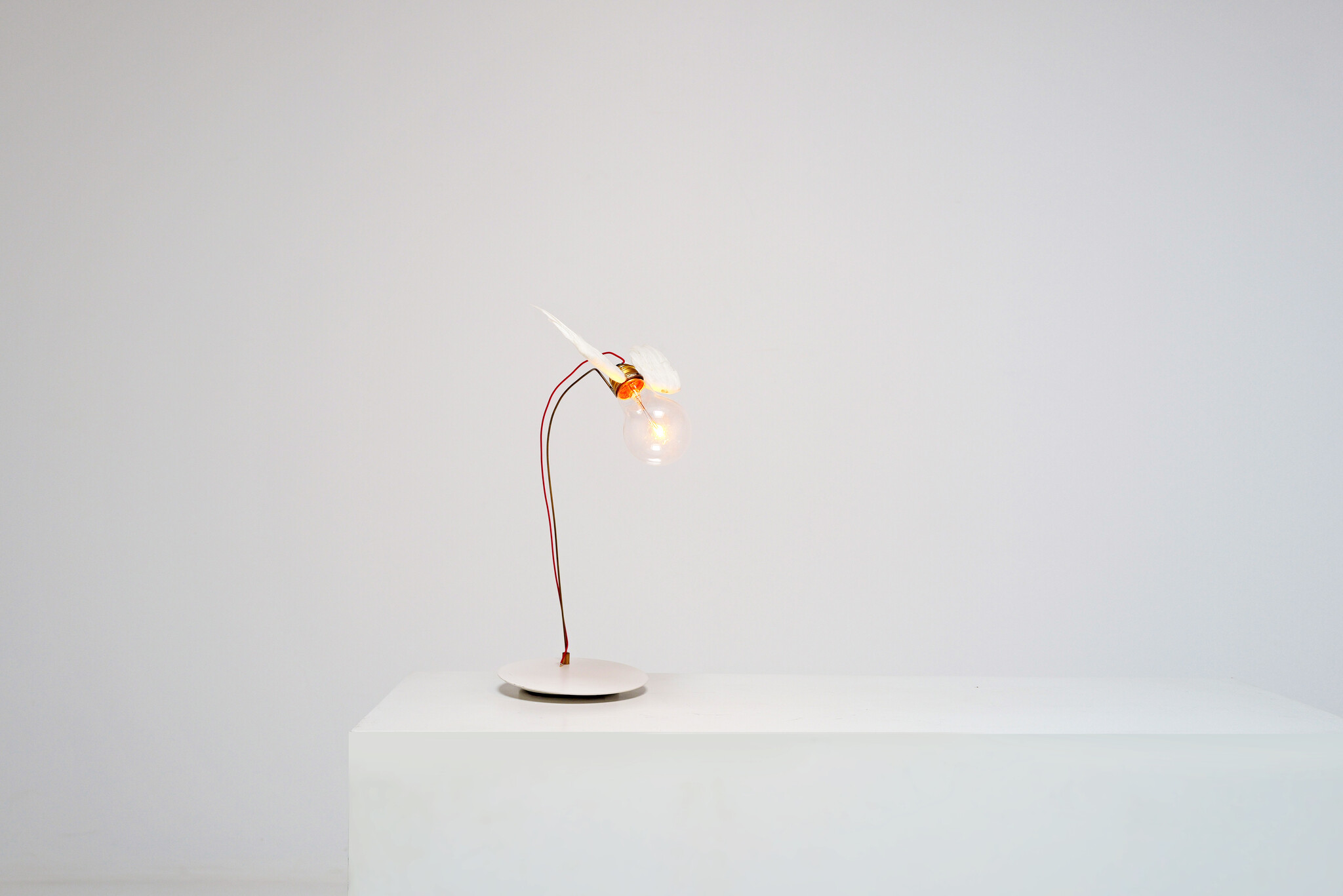 1st edition Lucellino table lamp by Ingo Maurer, 1992