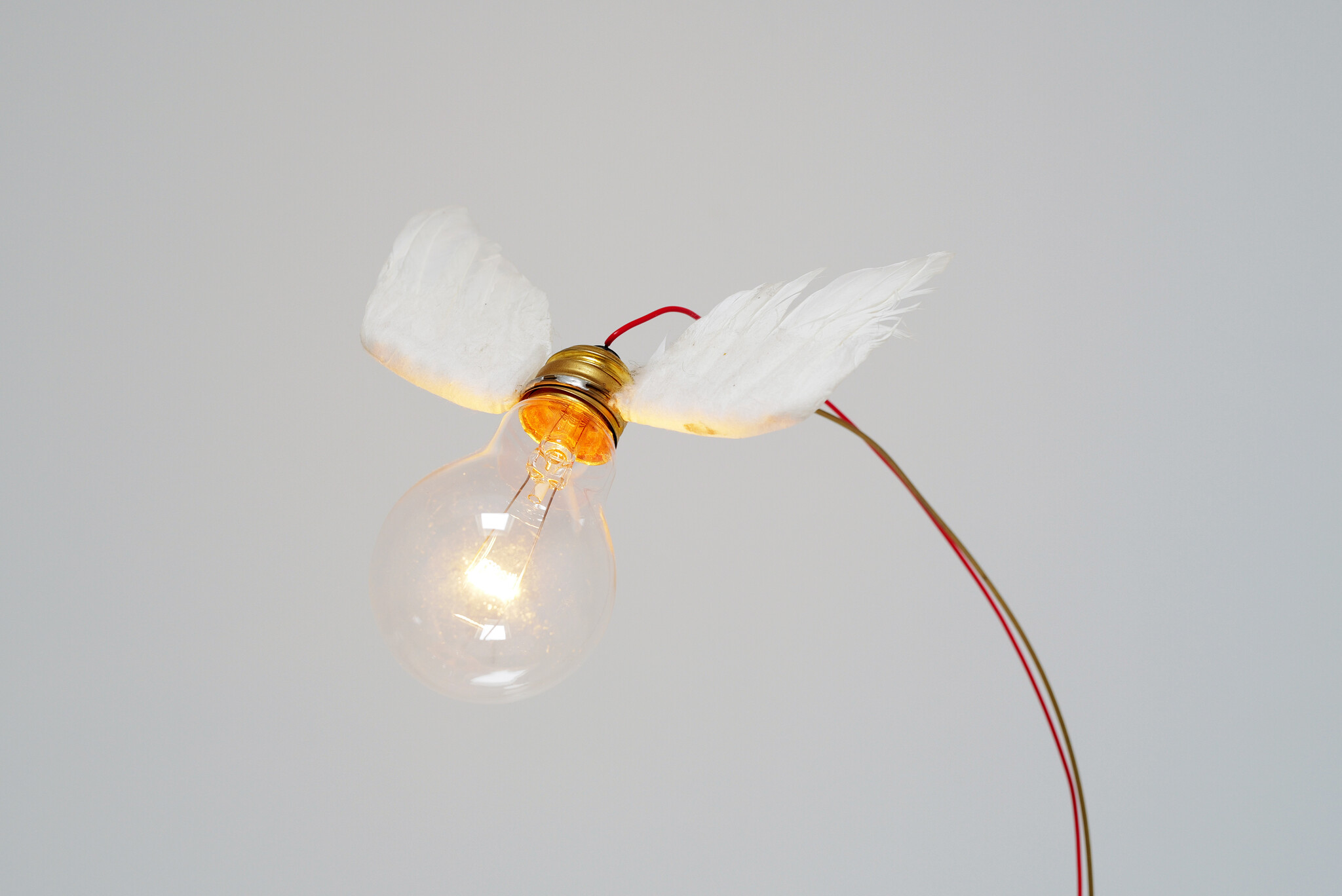 1st edition Lucellino table lamp by Ingo Maurer, 1992