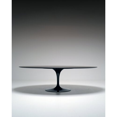 Table ovale Knoll Tulip