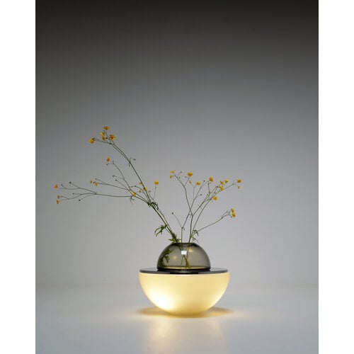 LT327 Tafel lamp Carlo Nason