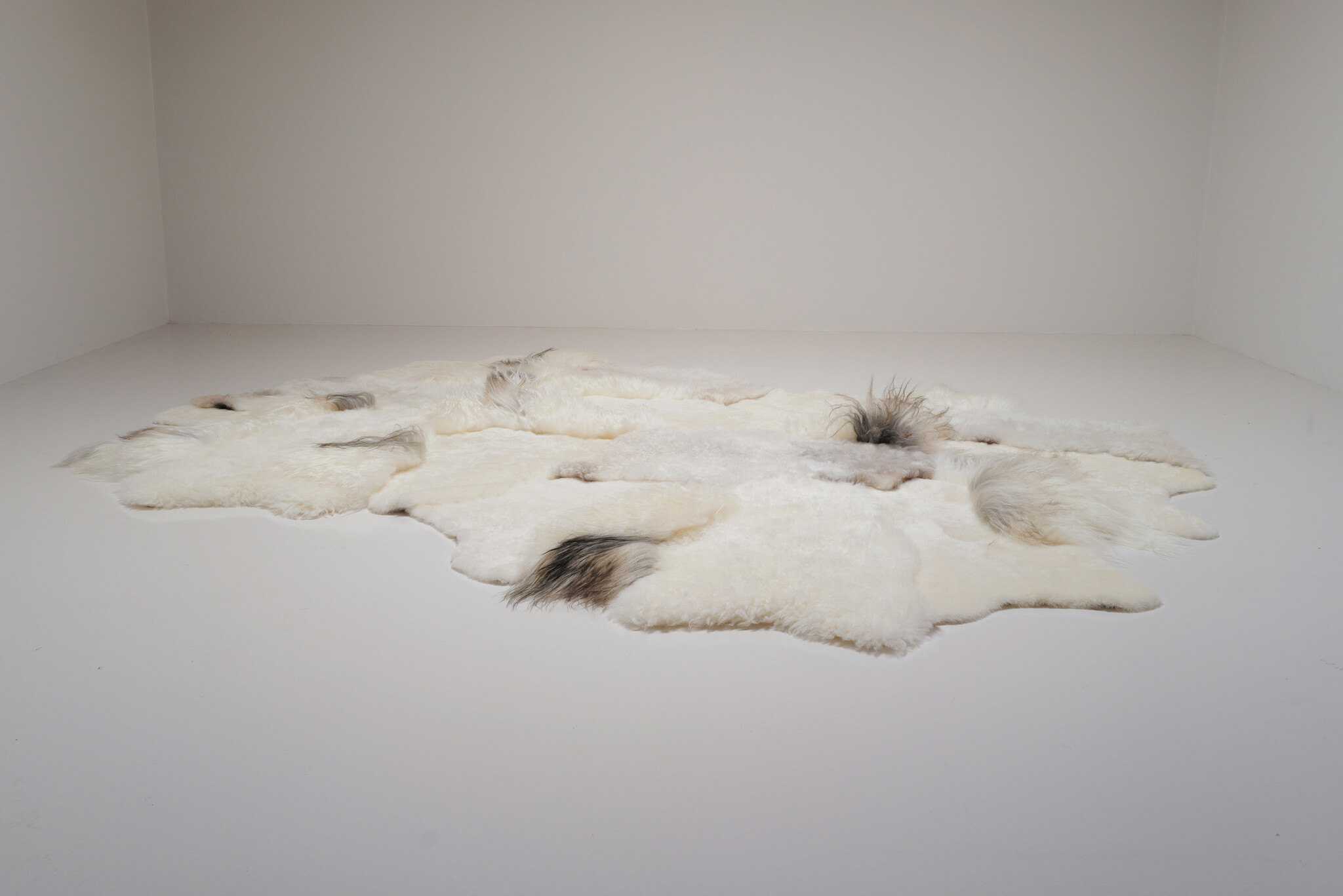 Carine Boxy “Windy” landscape tapijt, 2025