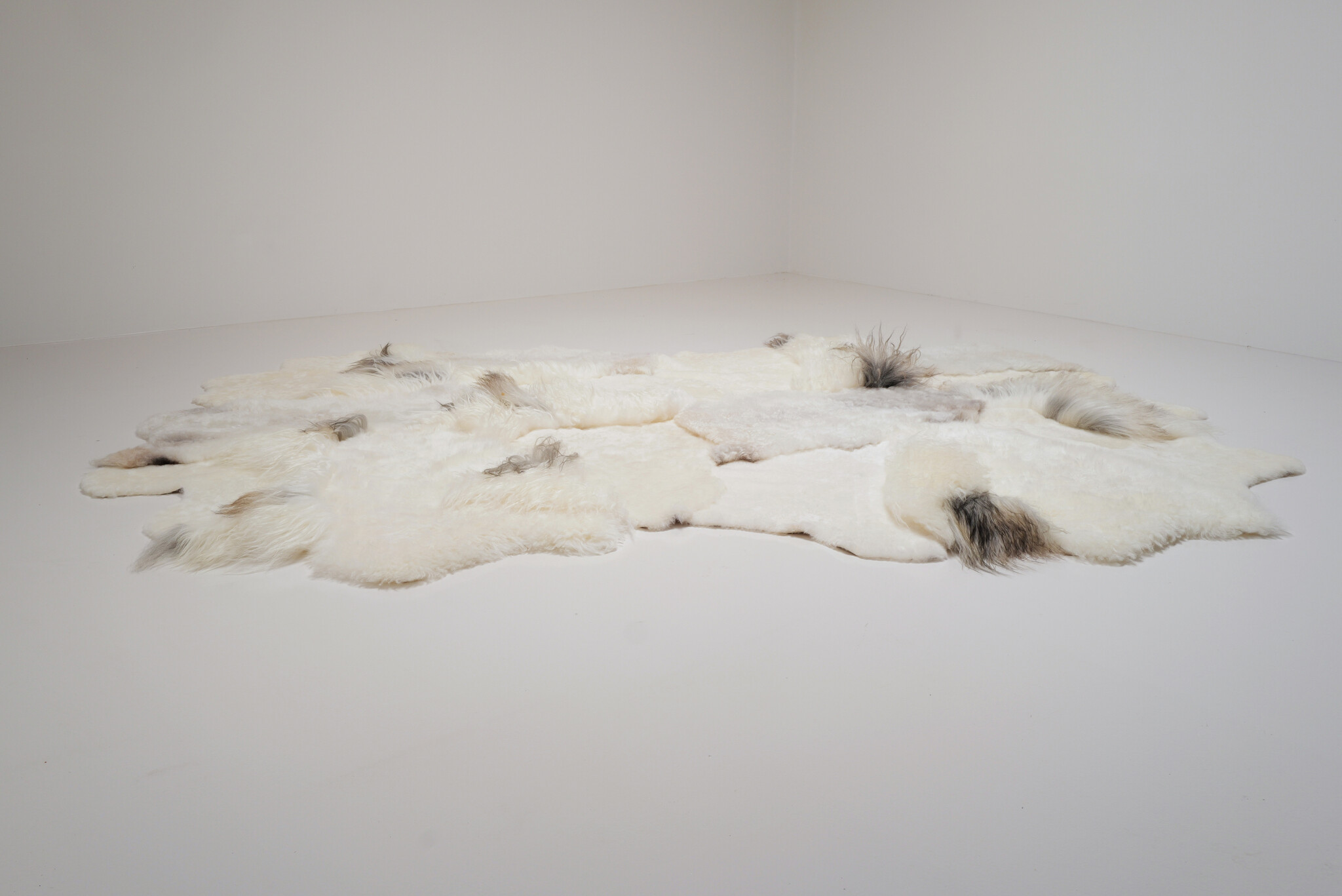 Carine Boxy “Windy” landscape tapijt, 2025