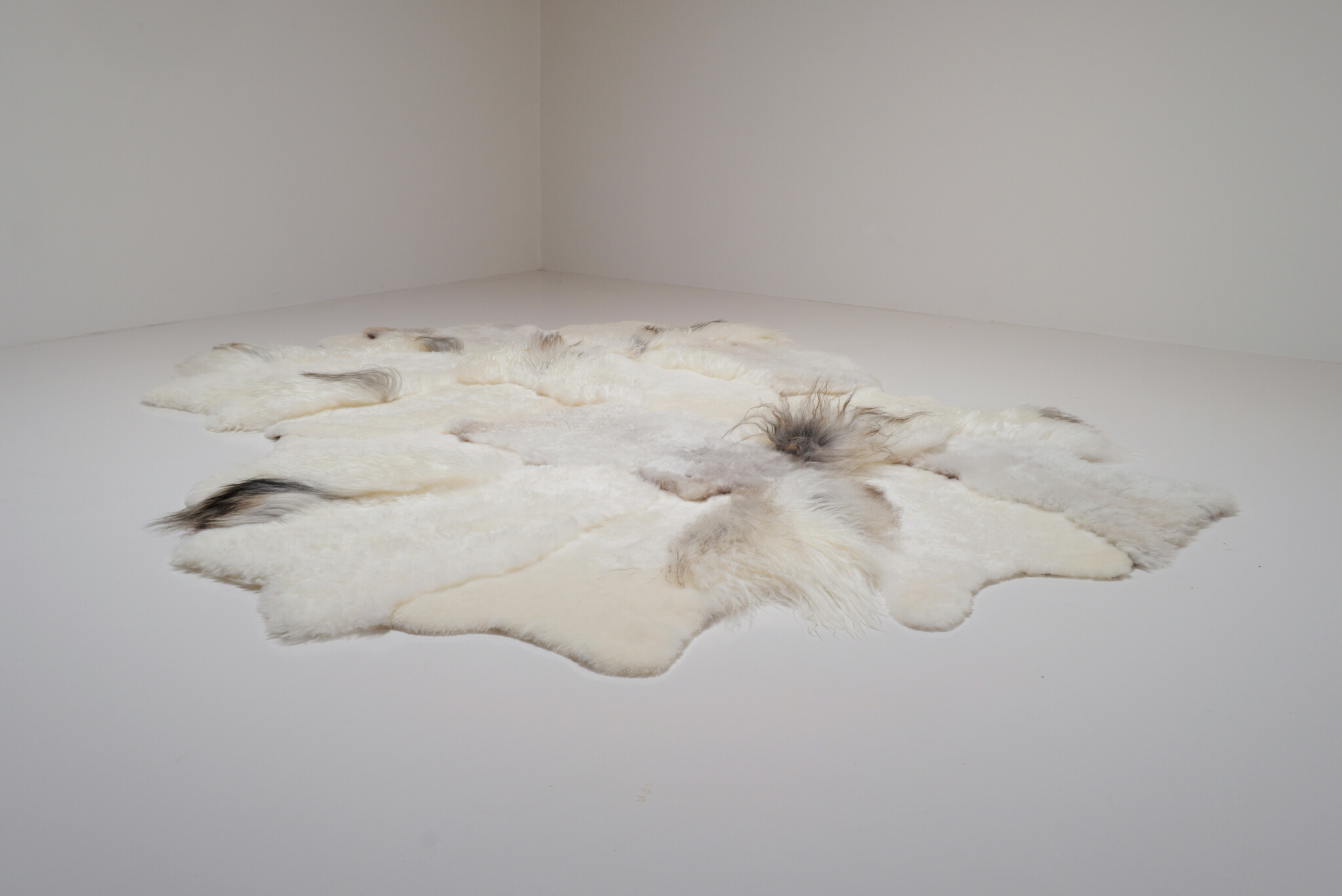 Carine Boxy “Windy” landscape tapijt, 2025