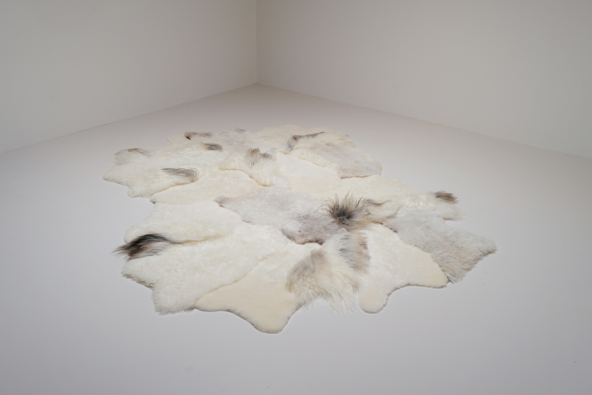 Carine Boxy “Windy” landscape tapijt, 2025