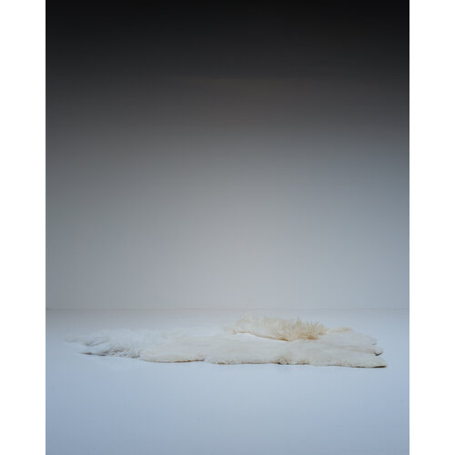 Carine Boxy tapijt"WHITE SEA"