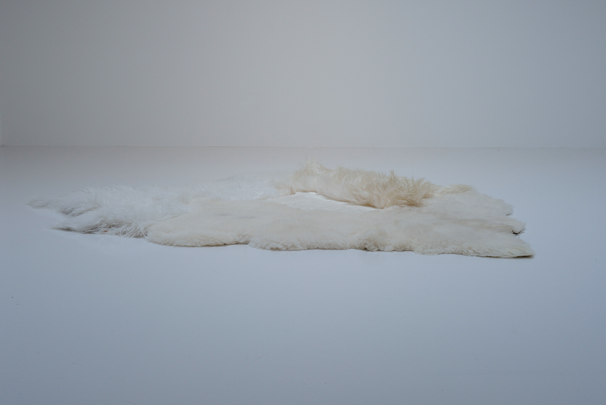 Carine Boxy “WHITE SEA” landscape tapijt, 2026