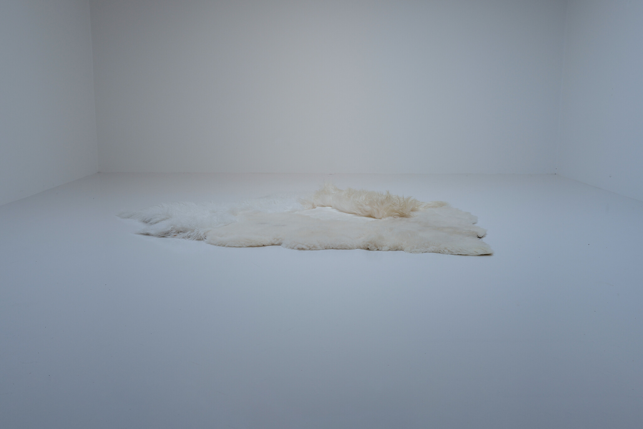 Carine Boxy “WHITE SEA” landscape tapijt, 2026
