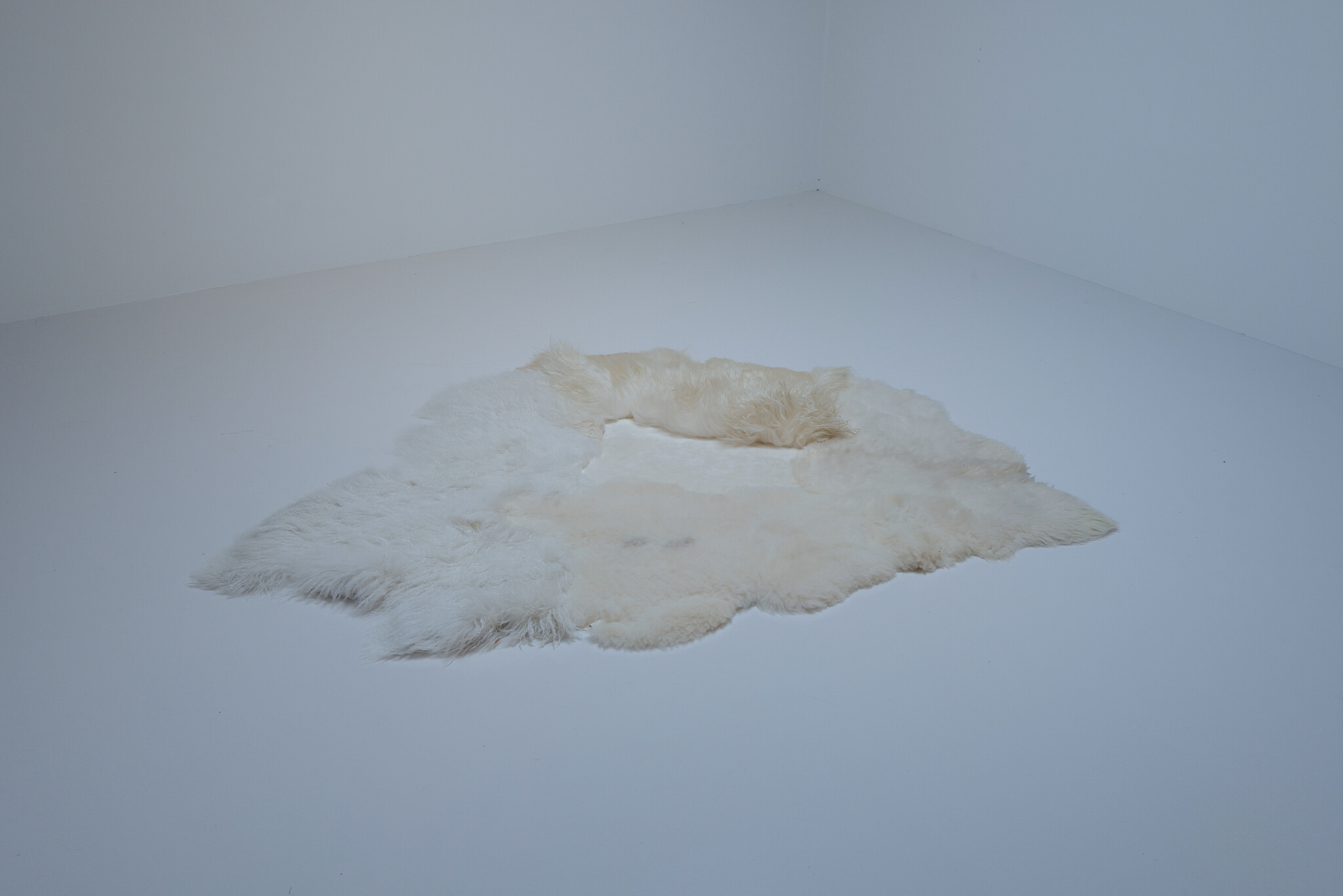 Carine Boxy “WHITE SEA” landscape tapijt, 2026