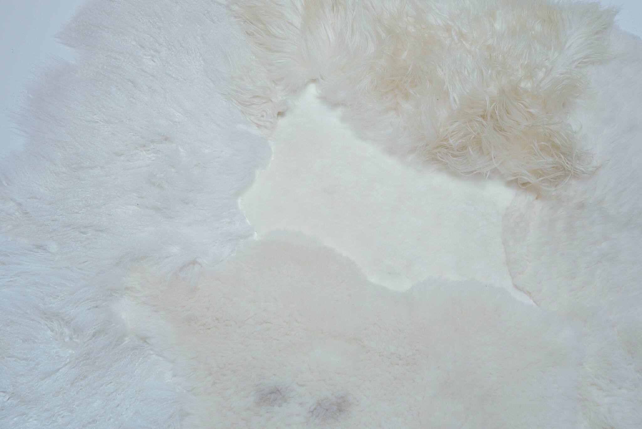 Carine Boxy “WHITE SEA” landscape tapijt, 2026