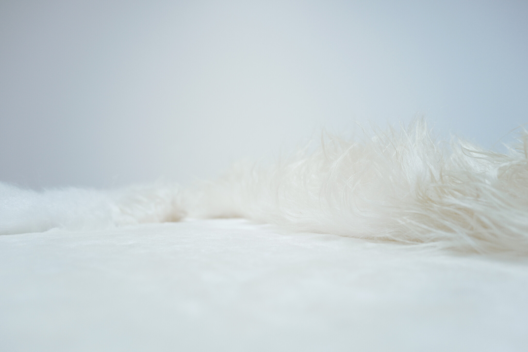 Carine Boxy “WHITE SEA” landscape tapijt, 2026